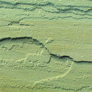 Raj Green Sandstone